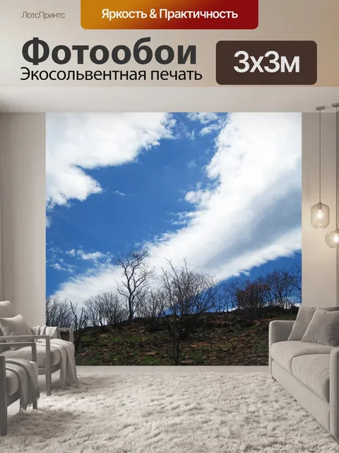 Фотообои широкое белое облако в голубом небе