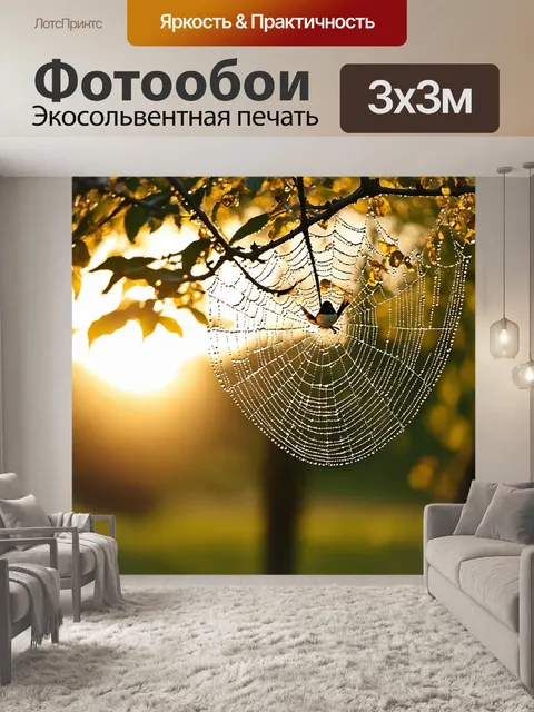 Фотообои утро: искрящиеся капельки росы на паутине, нежно затягивающей ветви дерева, под ранним солнцем