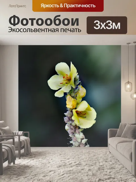 Фотообои Ботанический сад