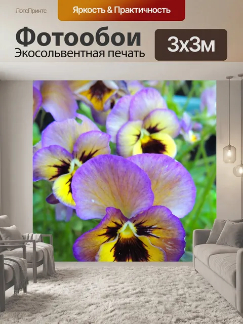 Фотообои Цветок