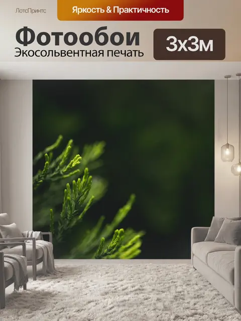 Фотообои Расплывчатый