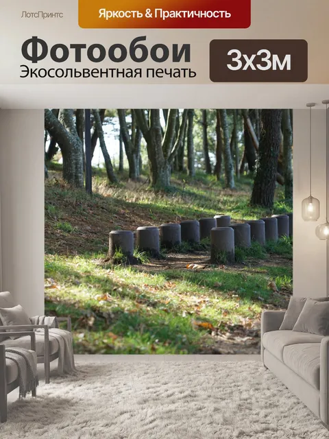 Фотообои Спортивная тропа в парке