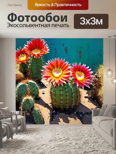 Фотообои кактус гимнокалициум михановичий с изогнутыми
