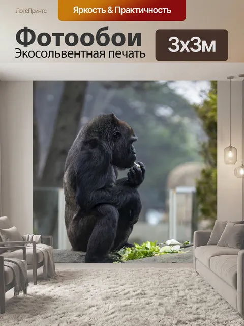 Фотообои горилла
