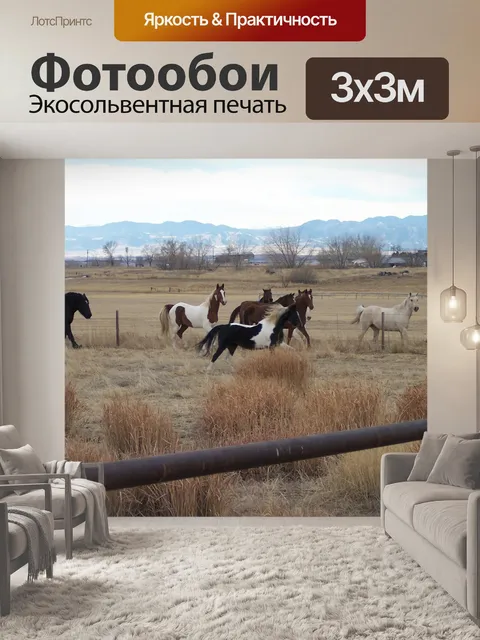 Фотообои Лошадь