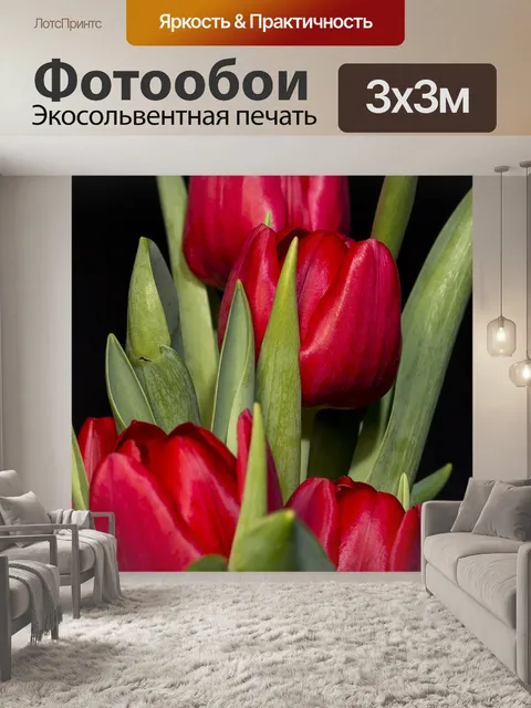 Фотообои Тюльпаны