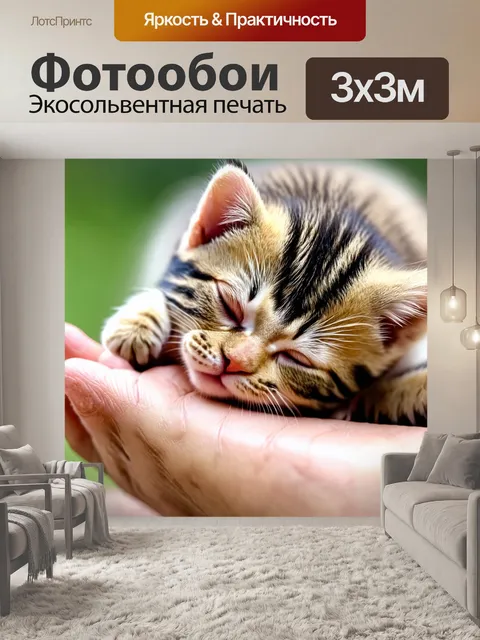 Фотообои котенок, спящий на ладони