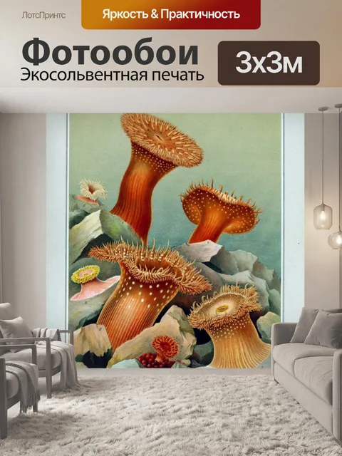 Фотообои Анемон коралловые винтажные искусства