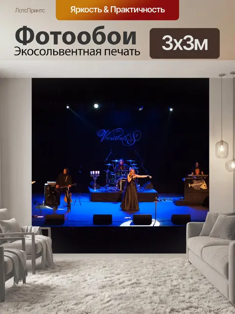 Фотообои Концерт