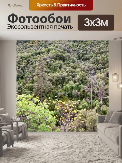 Фотообои Лесная гора