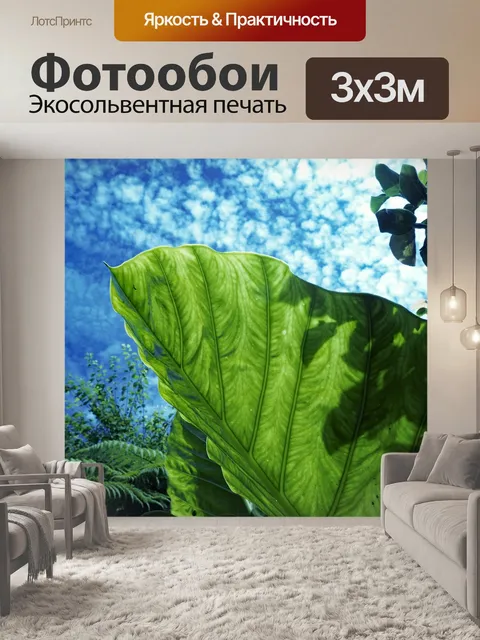 Фотообои Небо