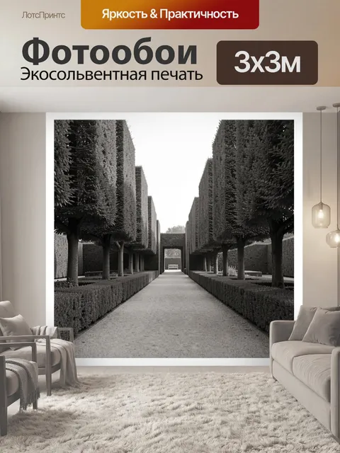Фотообои Аллея с подстриженными деревьями