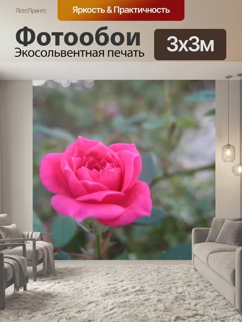 Фотообои розовый цветок