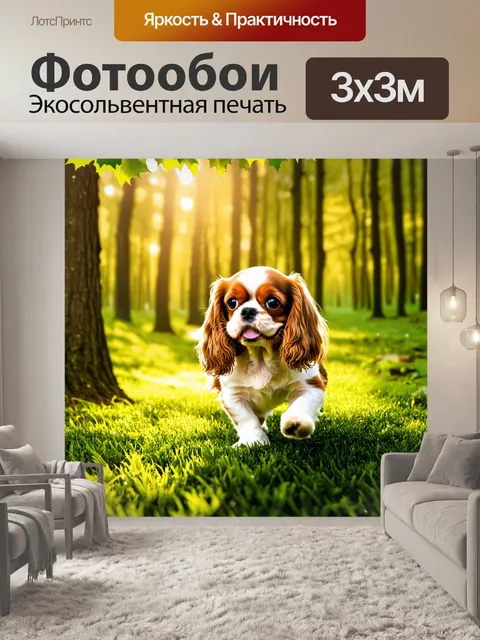 Фотообои веселая собака кавалер кинг чарльз спаниель с радостью исследует лес