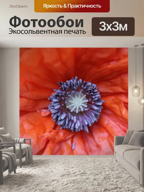 Фотообои Мак