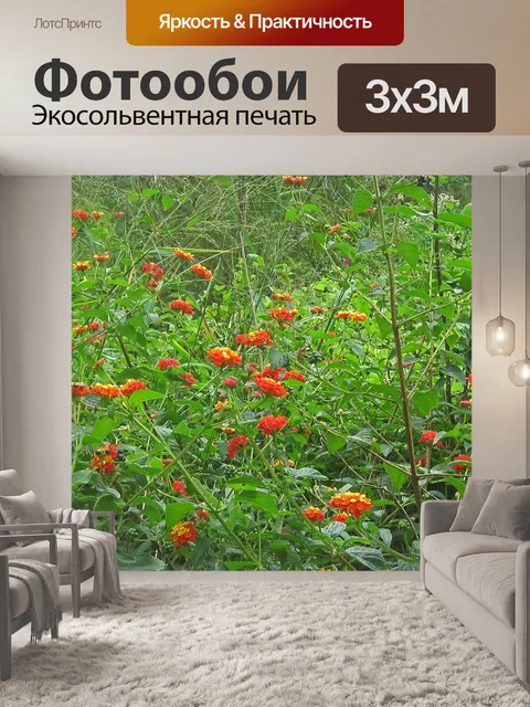 Фотообои Лантановые кустарники цветущие
