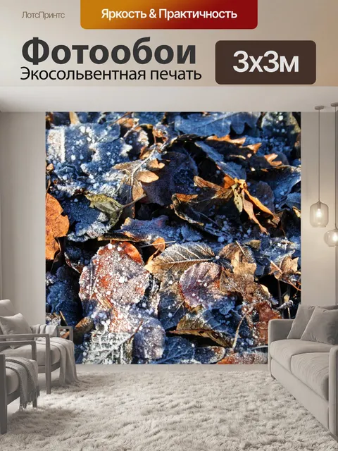 Фотообои Морозные Листья