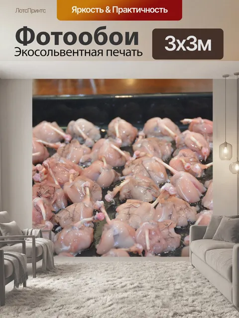 Фотообои Лягушачьи лапки