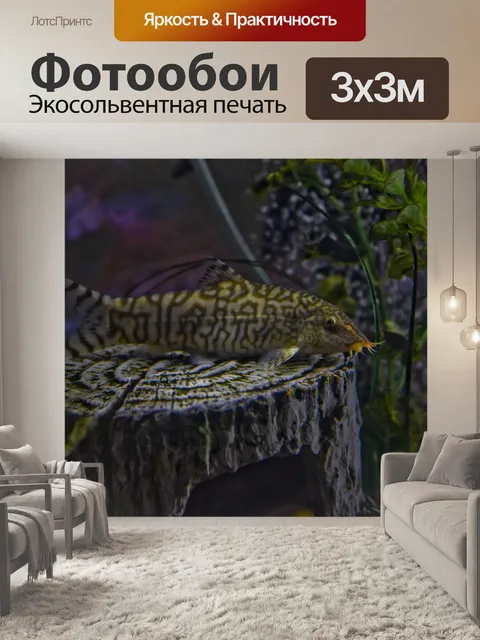 Фотообои YoYo Loach в Аквариуме