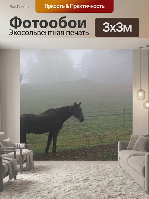 Фотообои Лошадь