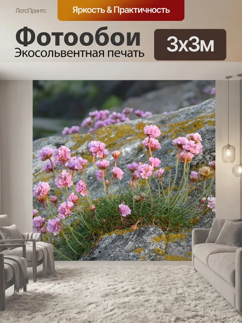Фотообои Цветы
