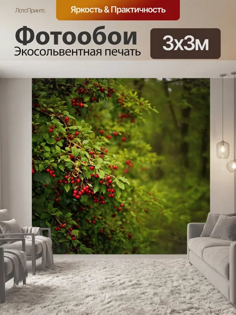 Фотообои лес с лесными ягодами, растущими на кустах
