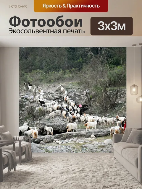 Фотообои Стадо