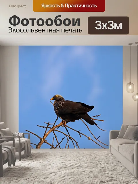 Фотообои Африканский оливковый голубь на дереве