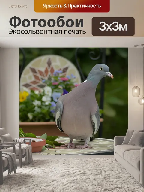 Фотообои Голубь