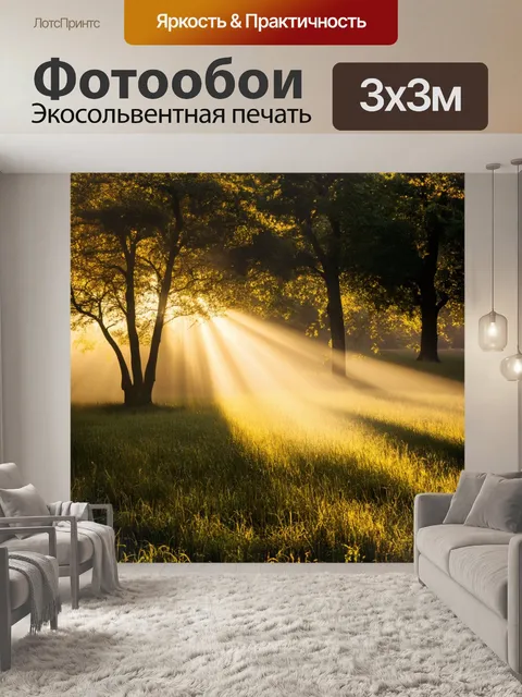 Фотообои поле, где солнечные лучи пробиваются сквозь величественные деревья, создавая уникальные узоры света и тени