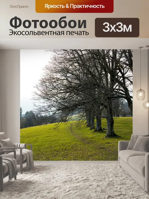 Фотообои Деревья