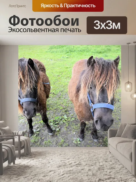 Фотообои Лошади и ферма пони