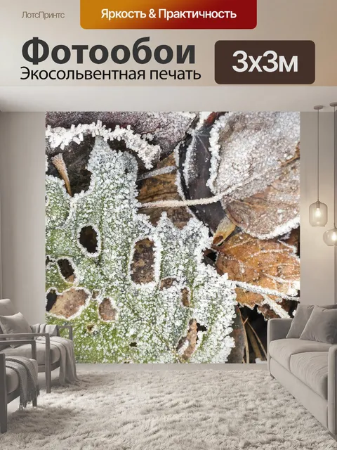 Фотообои Морозный