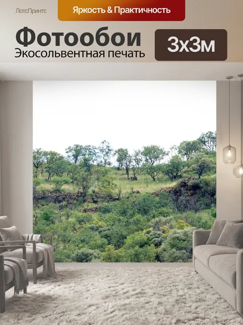 Фотообои деревья на холме