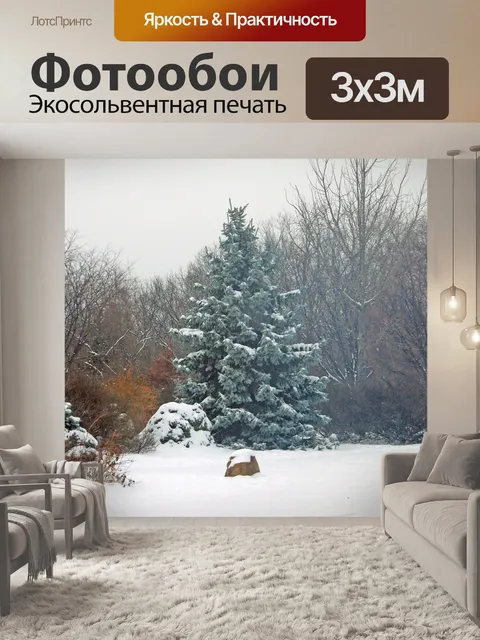 Фотообои Вечнозеленое дерево