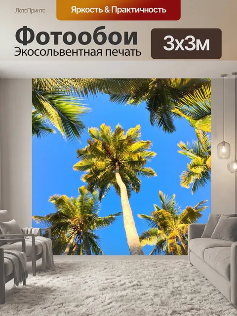 Фотообои Пальмы и небо