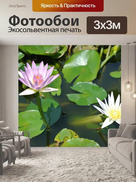 Фотообои Лотос