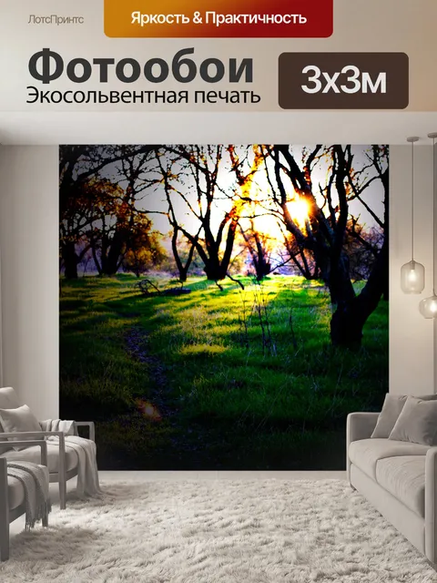 Фотообои Setting Sun