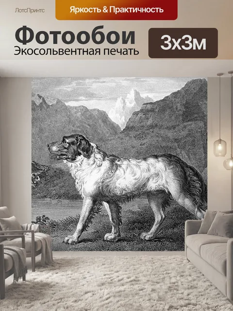 Фотообои Ньюфаундленд собаки
