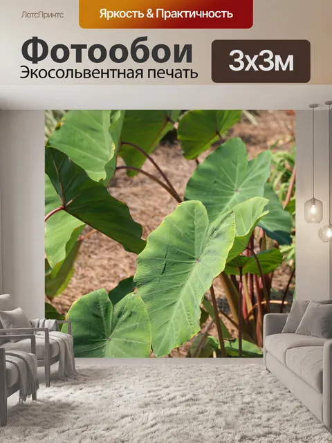 Фотообои Садоводство