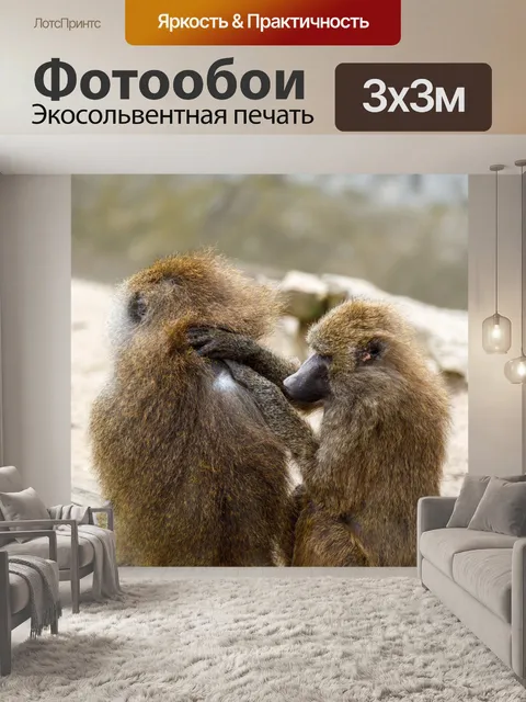 Фотообои Уход за обезьянами