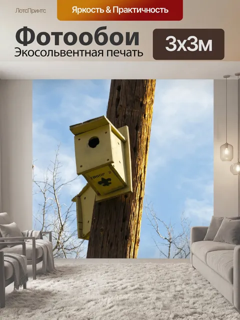 Фотообои Птица дома