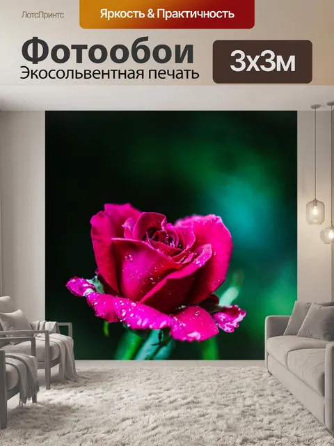 Фотообои Роза