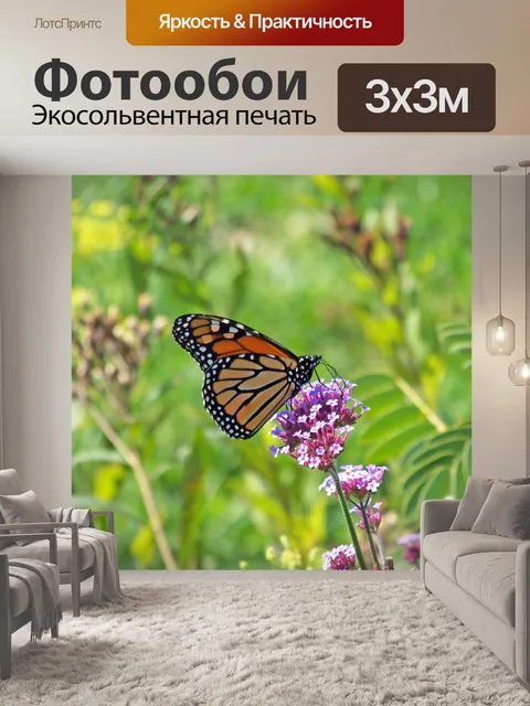 Фотообои Бабочка