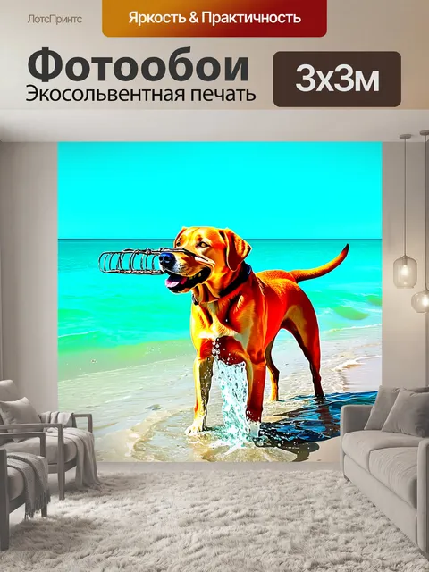 Фотообои солнечный день на море