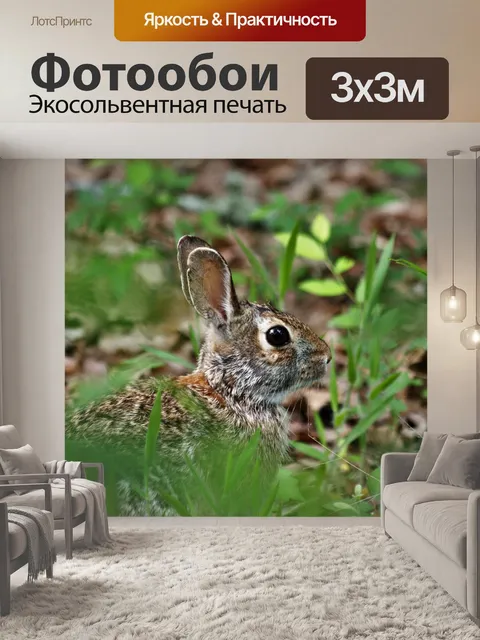 Фотообои Кролик-кролик, скрывающийся в траве