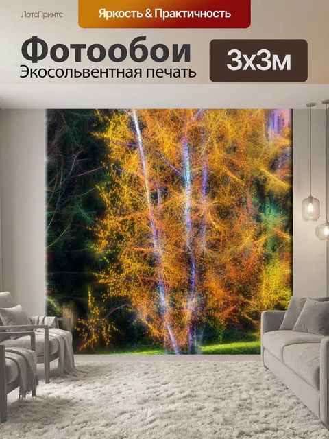 Фотообои Березы