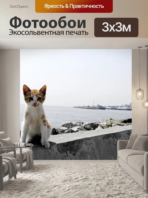 Фотообои Кошка