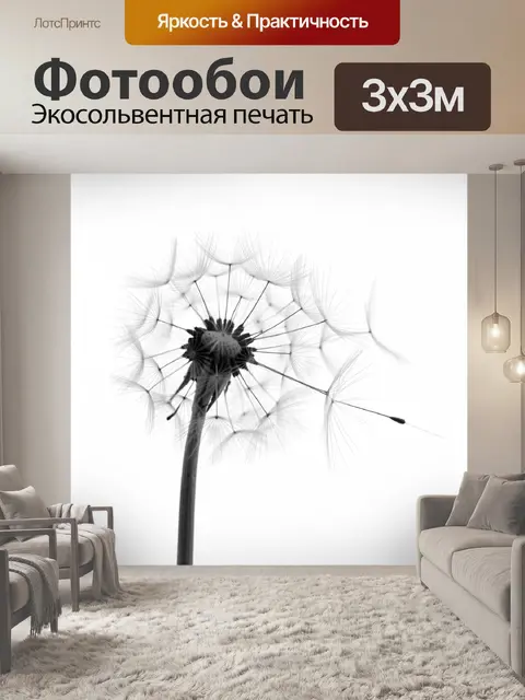 Фотообои Одуванчик в черно-белом макро