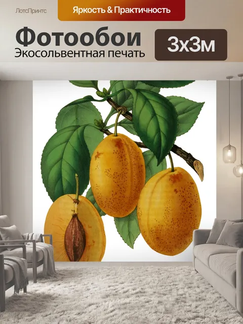 Фотообои Слива Фрукты Винтаж Искусство